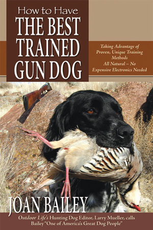 How to Have The Best Trained Gun Dog