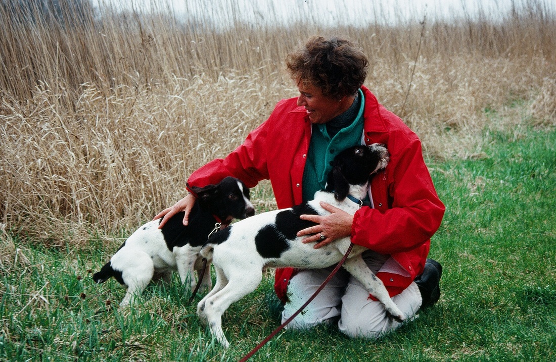 Joan Bailey training young hunting dogs